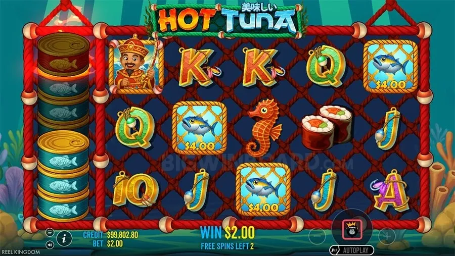 phjoy Gambling Glossary of Terms